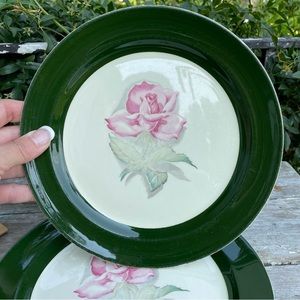 Taylor Smith green & white rose pattern 4 dinner plates